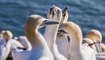 世界杯安装包下载-【西乙】武磊替补出场后连丢2球 西班牙人1比2