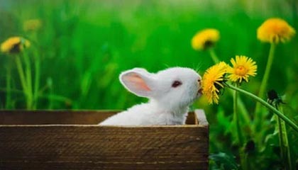 世界杯高清直播-【早报】勒夫继续执教德国队！拜仁：弗利克保住了...